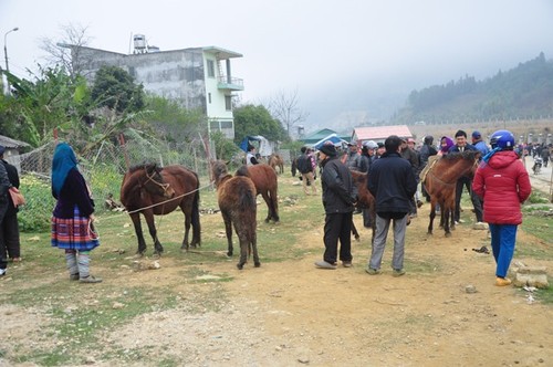 Visiting Bac Ha market - ảnh 6